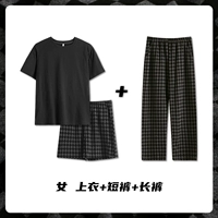 ZH5377 Три -купольный набор