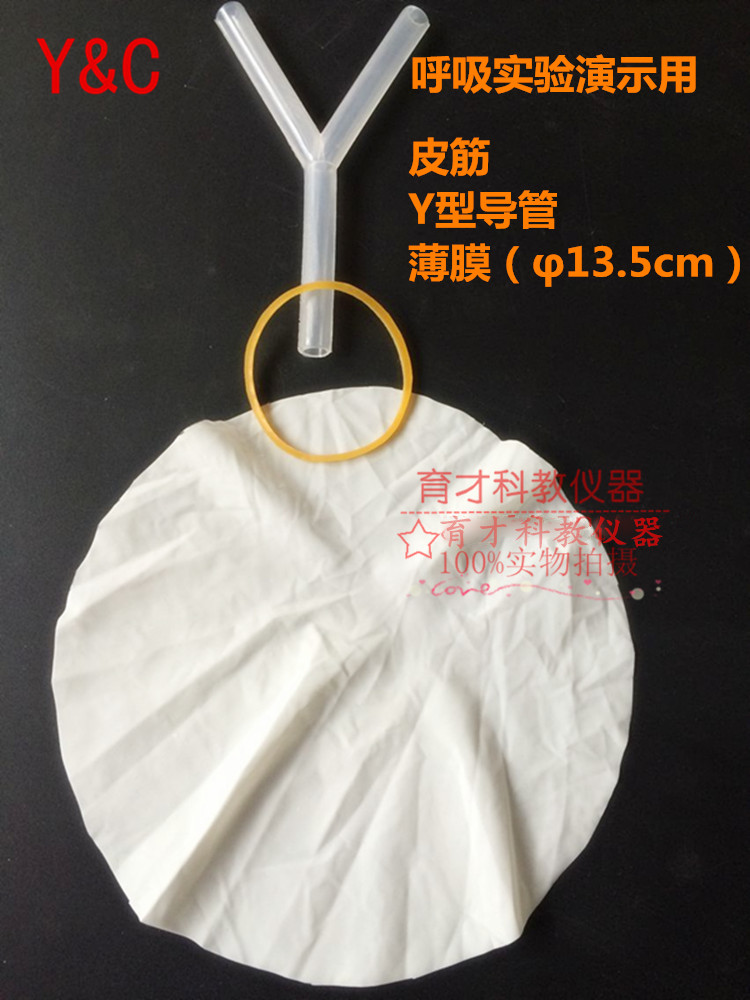 Diaphragm Muscle Motion Simulator Analog of Suction Experimenting Instrumental assorted special film Y-type pipe latex rubber film teaching