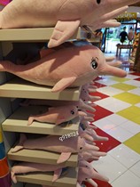 Zhuhai Changlong Ocean Kingdom Souvenir Paparazzi stuffed dolphin stuffed with pillow dolphin female gift