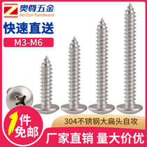  304 stainless steel large flat head self-tapping screw m3456mm cross head screw Zigong screw mushroom head