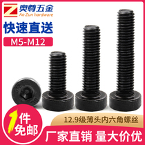 Thin head hexagon socket (M4M5M6M8M10M12M14M16)12 9 grade high strength low head hexagon socket screw
