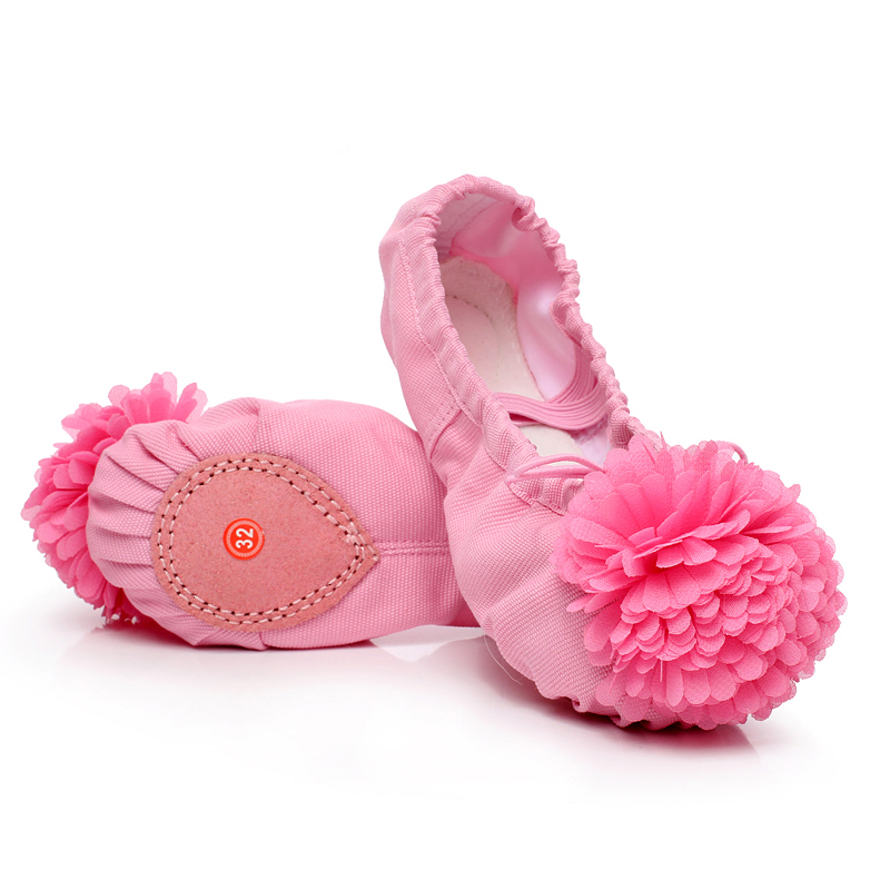 Young Children's Dance Shoes Soft-soled Girl's Dance Shoes Flower Ballet Shoes Performance Dance Shoes Cat's Claw Shoes Practice Shoes