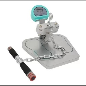 Back Muscle Force Pedometer Scientific Research Equipment School Electronic Back Muscle Force Meter Tester-Taobao