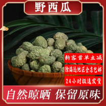 Hand-selected new Xinjiang wild watermelon also known as rat melon hook thorn fruit vine drought-resistant grassland ecology 250g