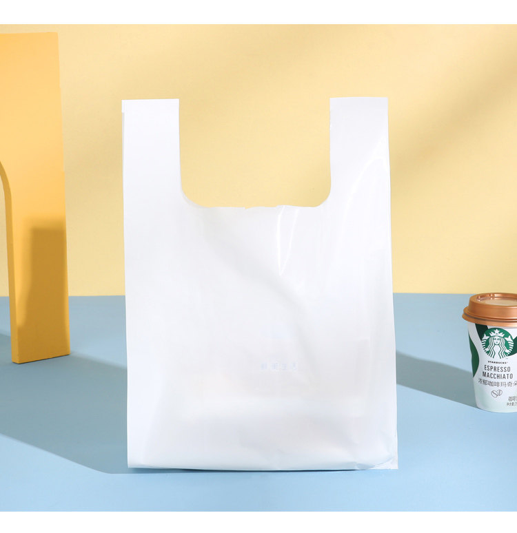 Прозрачный жилет BAG_07.JPG