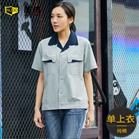 Темно -синий воротник чистый хлопок (одиночный верх)