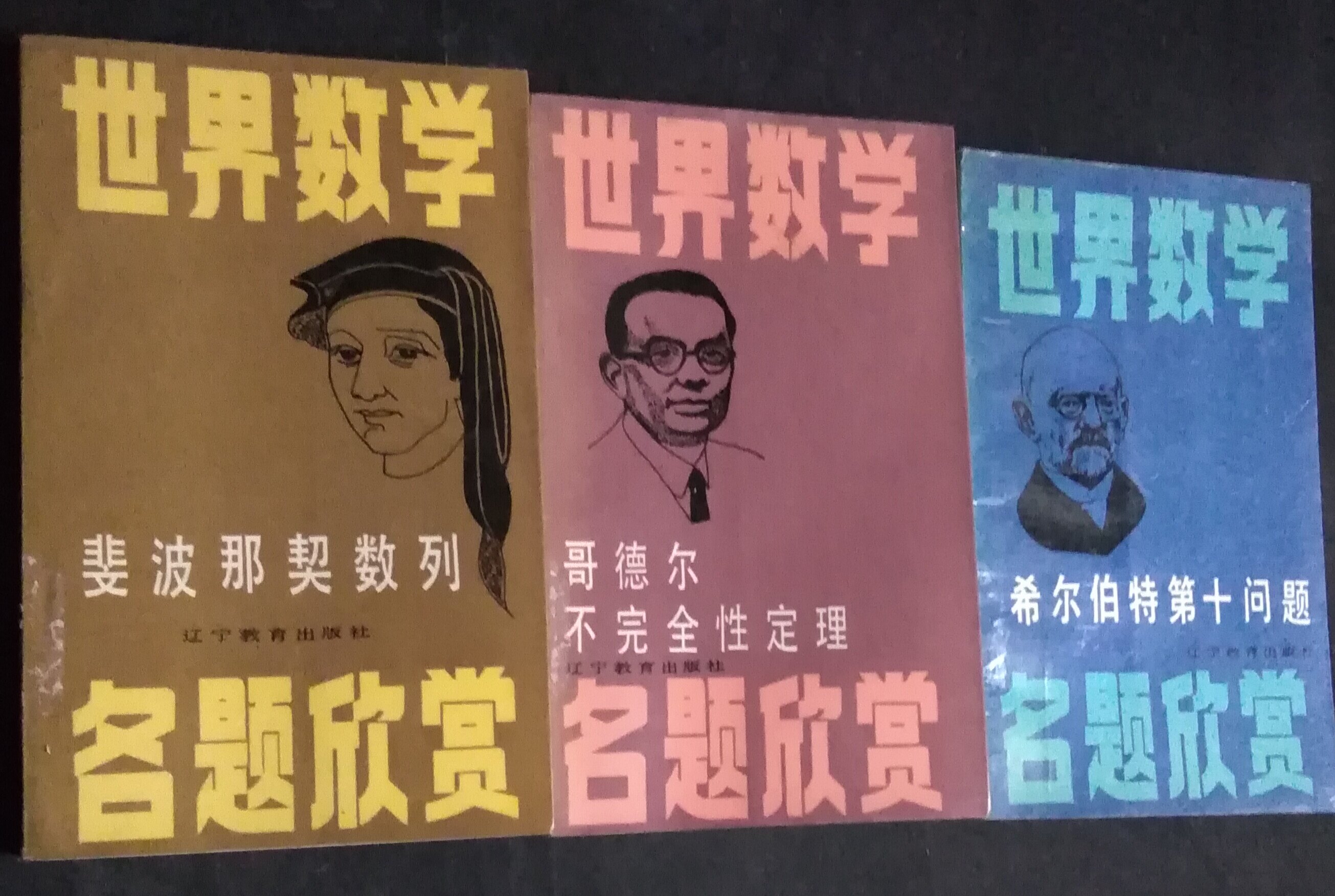 World mathematical propositions 3 volumes of the sale of Gödel's incomplete theorem Fibonacci series Hilbert