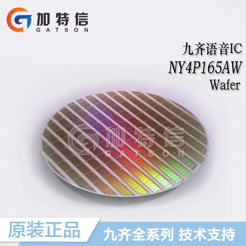 NY4P165AW Package Wafer Wafer Brand New Original Nyquest Nine Qi Voice IC OTP Full Series