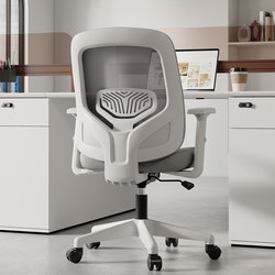 Office Chair 2025 New arrival Computer Chair For Home Office Workstation Staff Seat Ergonomic Chair Backrest Chair