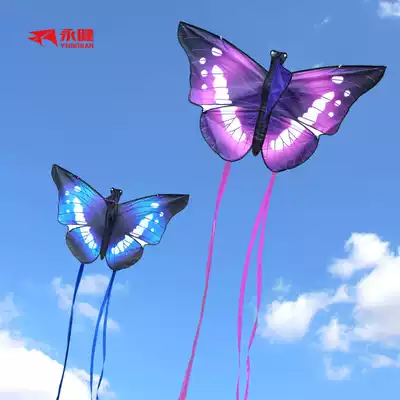 Net celebrity big love Yongjian 2021 new kite breeze easy-to-fly adult special beginner butterfly kite