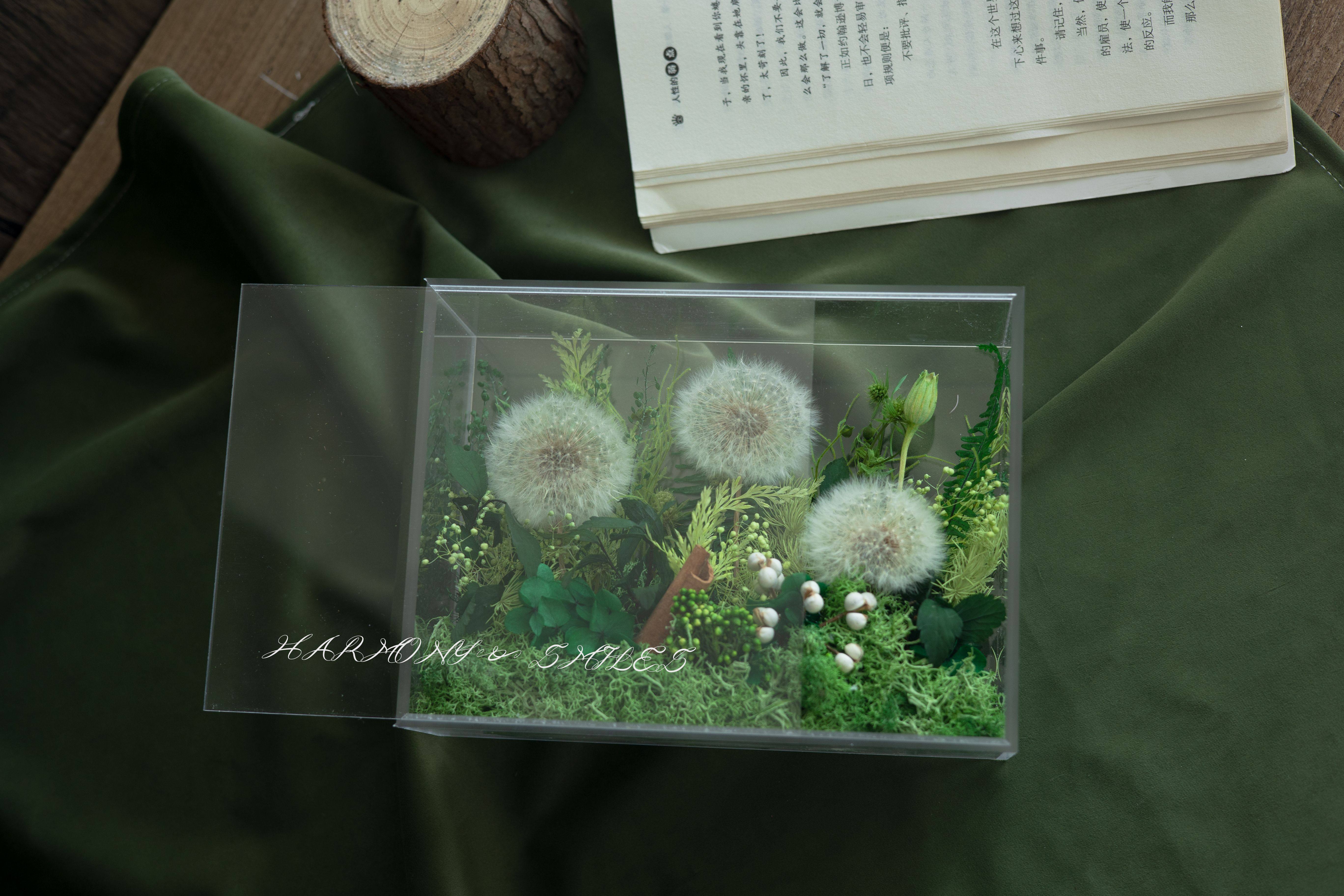 Handmade preserved roses arranged in a clear acrylic box for modern home decor