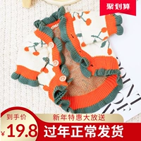 Толстый свитер щенок Corki Cat