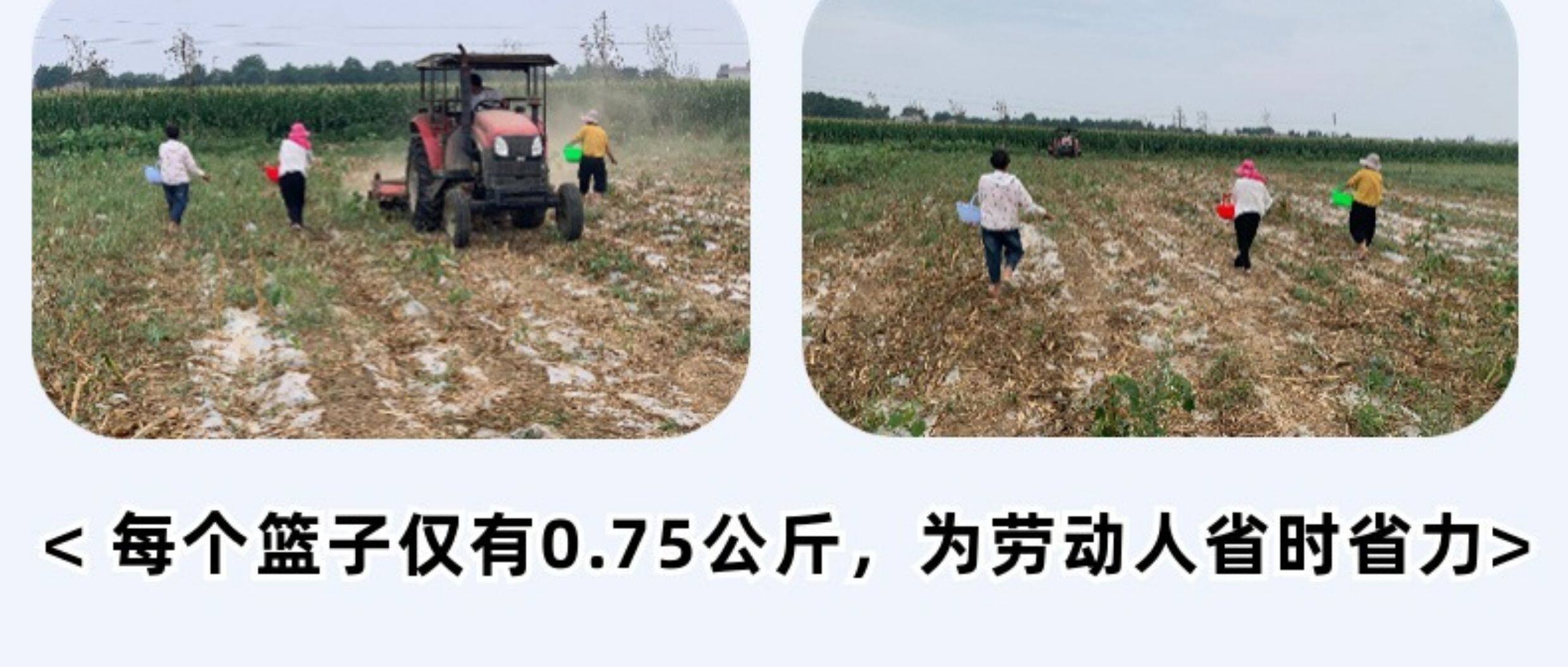 Совок с щеткой 塑料筐子提篮手提篮果蔬采摘水果筐塑料挎篮加厚塑料筐沥水篮竹筐 No brand