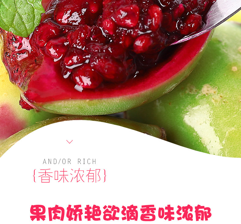 Fairy Palm Fruit_04.jpg