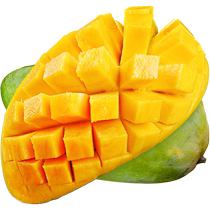Vietnam green mango fresh fruit 10 pounds seasonal ready-to-eat tropical imported green skinned golden sweet mango for pregnant women