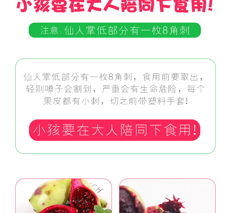 Fairy Palm Fruit_12.jpg