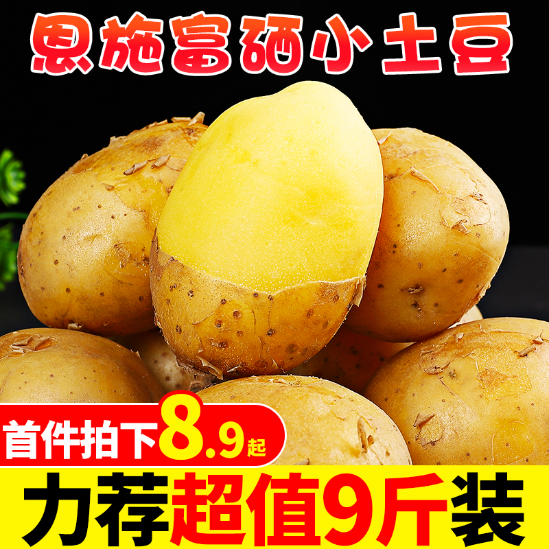 Nsch now dig fresh potatoes 9 catties small potatoes agricultural products Yellow Heart Potato Great Vegetable Foreign Potato 5