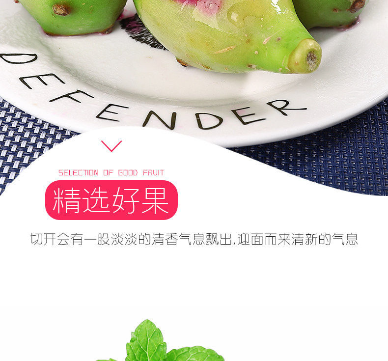 Fairy Palm Fruit_06.jpg