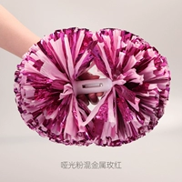 Фонды профессионального соревнований