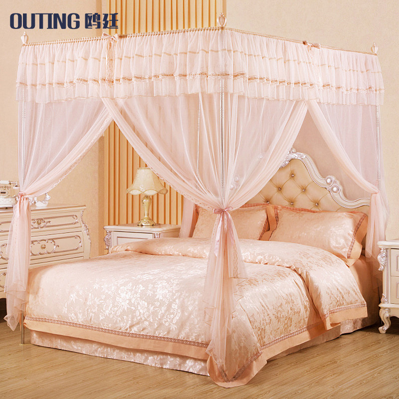 Palace floor-to-ceiling mosquito net household 1 2 meters 1 5m1 8m bed pattern holder three-door Princess wind encryption thickening thickening