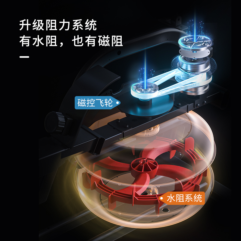 健身器材大揭秘：助你在家轻松拥有完美身材💪