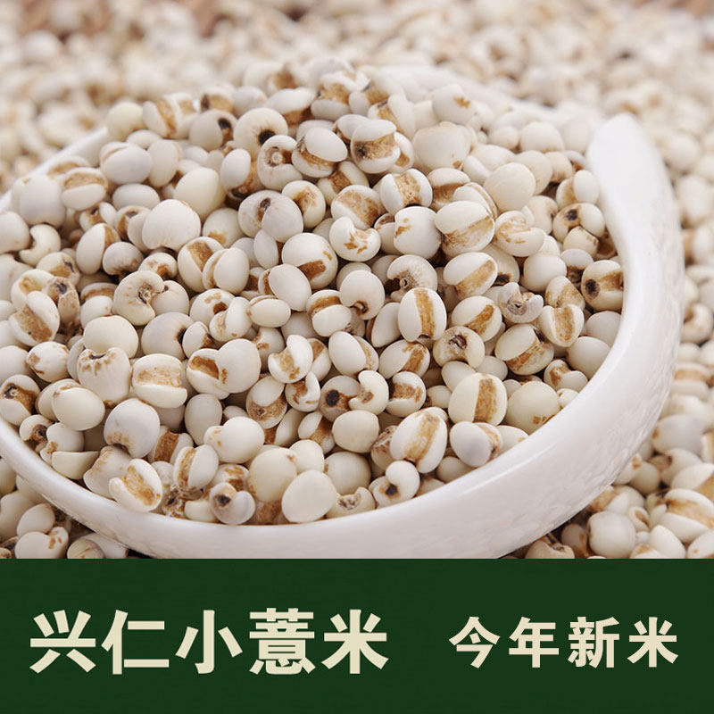 Small grain pearl barley Guizhou Xingjen pearl barley seed coix seed coix seed pearl barley with red bean five grain cereals 500g