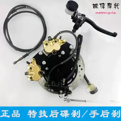 Locomotive cross-riding rear disc brake kit special effects double pump rear disc brake hand rear brake locomotive drum brake modification