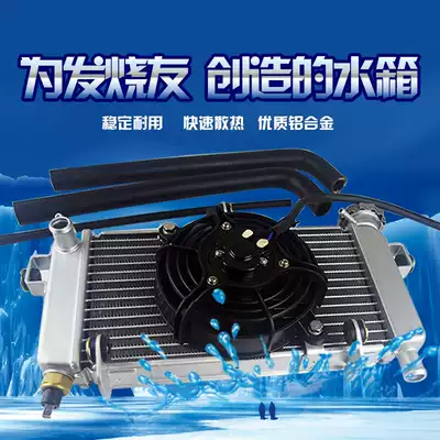 Earth Eagle King 350cc twin cylinder Everest Sirius 250 locomotive water tank assembly water-cooled radiator with fan