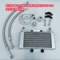 Suitable for Kaiwei 250 Lifan V250 Yamaha King XV125-250 Motorcycle Modified Oil-cooled Radiator