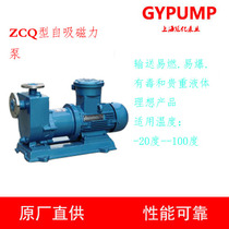 Shanghai self-priming magnetic pump ZCQ self-priming magnetic pump corrosion resistant self-priming pump 304 stainless steel magnetic pump
