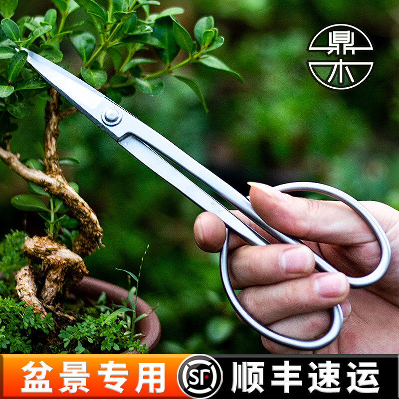 Tripod wood bonsai trim to make styling special tool Leaf bud cut branches Sprout Scissors Small Branches of Orchid Seedlings Gardening