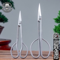 Ding wood leaf bud shears bud shears twig shears Orchid seedling bonsai pruning modeling special tools Bonsai making scissors