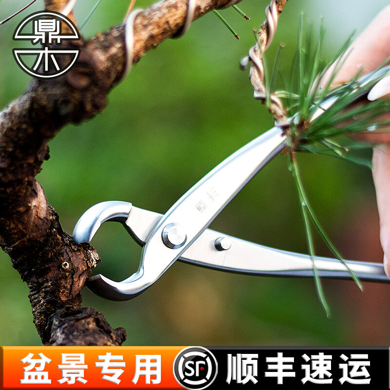 Tripod Wood Bonsai Trim Styling Production Special Tool Ball Festival Cut Spherical Type Pincer Tree Nodule Branches Scissors Horticulture