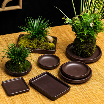 Absorbent stone base basin water stone rockery bonsai special basin narcissus copper money grass ceramic hydroponic purple sand porcelain flower pot