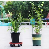 亲居 Цветочный дом Ренци Цветочный приют из розового цветочного бассейна комната для опоры цветочных стержней