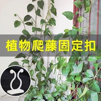ュ ュ 灊镓 灊镓 灊镓 灊镓 瓙缁 瓙缁 怅 怅 欓 澧 欓  畾鍣 畾鍣 畾鍣 畾鍣 畾鍣 豢 埇钘 ゆ 棤鐥 鍣 ㄧ 紶缁 曞 す 鍣 鍣 鍣 鍣 鍣
