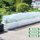 На открытом воздухе цветочный сара