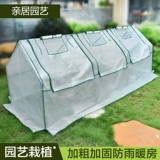 Сочный зимний термос комната цветочные комнаты затенение цветочной тепловой комната тепличная садовая садовая цветочные сараи в теплице