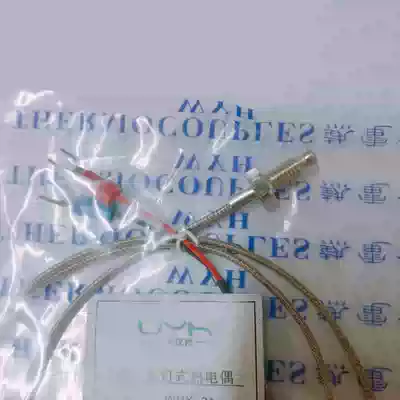 Screw type thermocouple temperature monitor WRX-31 (K type 600 degrees) WRNT-02 Screw thread m6