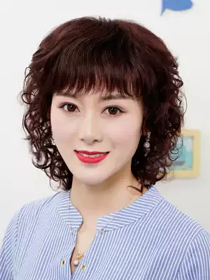 Wig female short hair fluffy natural temperament curly hair breathable middle-aged and elderly bald head full head cover type mother real hair cover