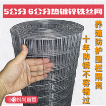 Hot-dip galvanized steel wire mesh barbed wire fence Bold chicken fence fence iron mesh 5 cm mesh corn mesh