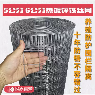 Hot-dip galvanized steel wire mesh wire fence thick chicken fence fence fence wire mesh 5cm mesh corn net