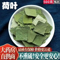 Натуральные сушеные листья лотоса 500 г бесплатной почты можно использовать для цветов и чайного чая с травяной лотосной листьями.