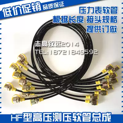 HIGH PRESSURE PRESSURE MEASURING HOSE TEST HOSE DN=3 W P 630BAR B P 1600BAR HYDRAULIC HOSE