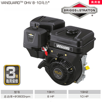 Original American Bailitong Gasoline Engine 10 horsepower 306CC architectural garden mechanical power