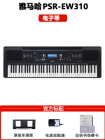 PSR-EW310 Стандарт