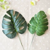 [Сестра Яер] Шелковая сеть цветочнико