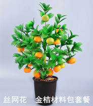  New silk screen flower orange material package package DIY handmade silk stockings flower production material set Kumquat tree