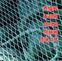 Breeding net plastic net fruit tree anti-bird thickened nylon net sky net grape rack fish pond plastic net outdoor