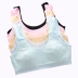 Áo cotton thời kỳ phát triển học sinh trung học cơ sở trẻ lớn không có vòng thép chống sốc chạy bộ đồ lót mỏng